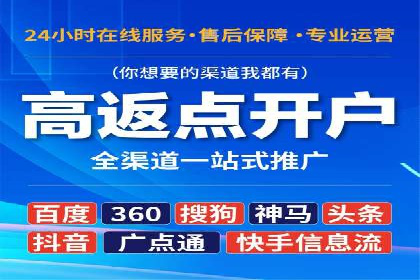 案例分析：百度推广成功案例解析